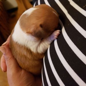 Meet your Posher, Emily